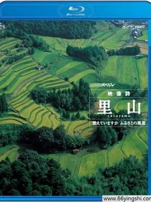 紫罗兰永恒花园